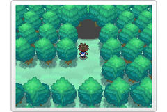 keldeo-forest-event-entrance