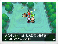 keldeo-forest-event-resolution-form